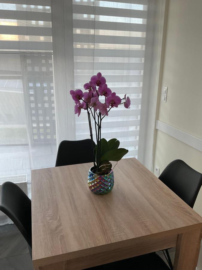 카토비체 Apartament „Dwie Wieze” 아파트 외부 사진